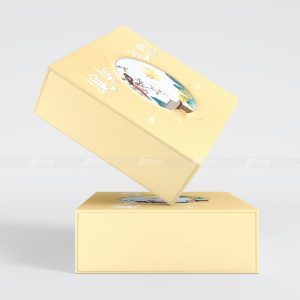 Alternative view of Hộp đựng bánh trung thu Hoa Đào