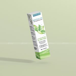 Hộp giấy đựng kem dưỡng Novoaloe