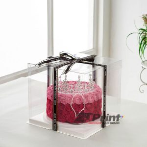 Hộp mica đáy vuông đựng bánh kem, bánh sinh nhật