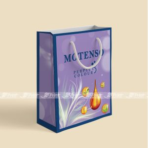 Túi giấy Motenso