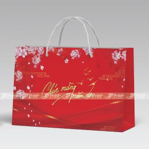 Túi giấy đựng hoa quả Tết