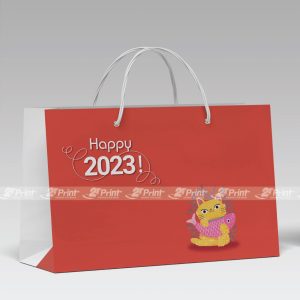 Túi giấy đựng hoa quả Yeva