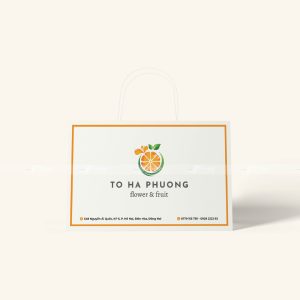 Túi giấy đựng hoa quả To Ha Phuong