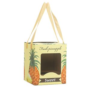 Hộp carton đựng dứa
