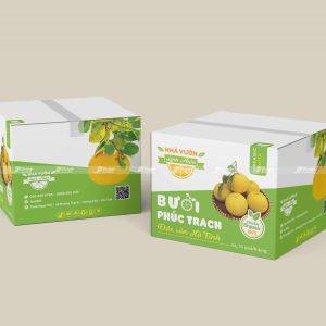 Thùng carton đựng bưởi Phúc Trạch