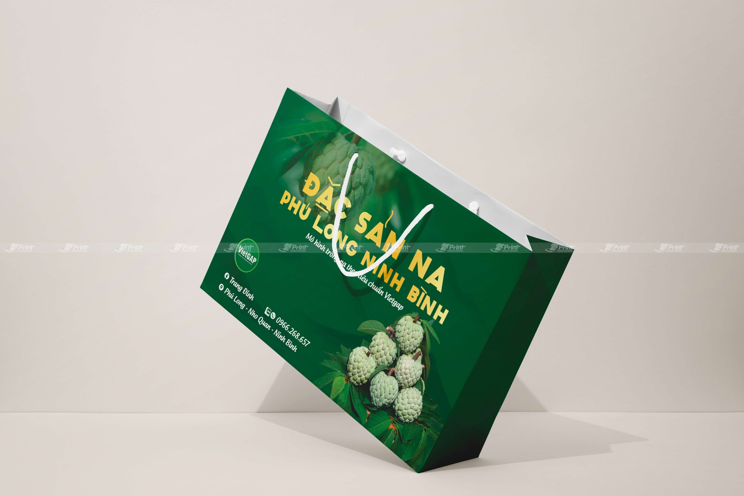 Túi giấy đựng na Phú Long Ninh Bình