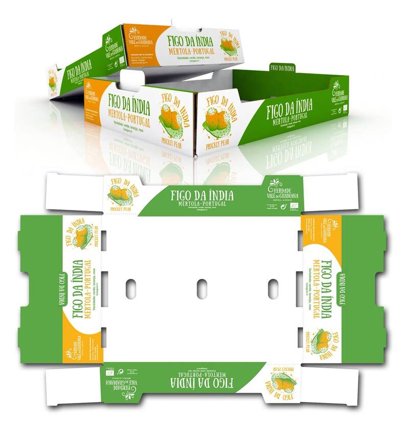 Thùng carton in Offset là gì