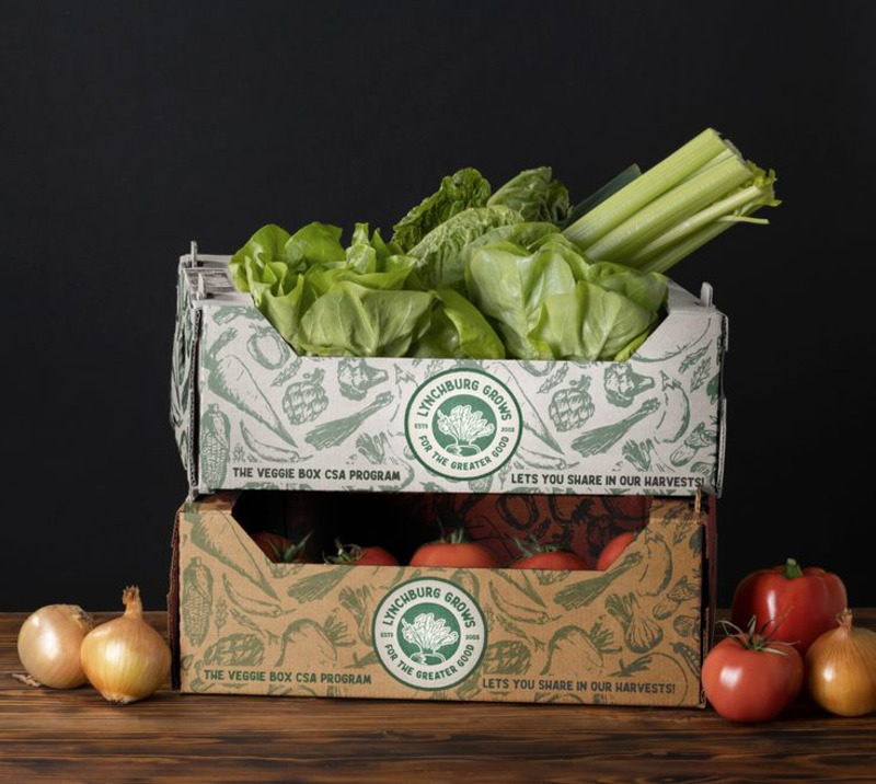 Thùng carton đựng nông sản, trái cây xuất khẩu 