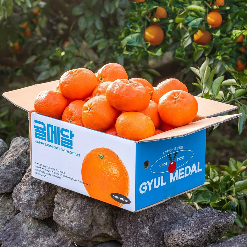 Thùng carton đựng nông sản, trái cây xuất khẩu 