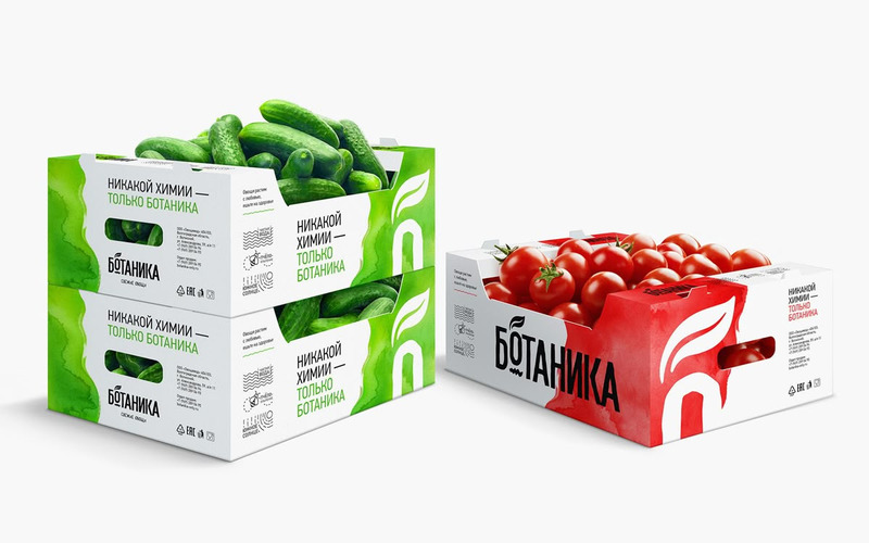 Thùng carton đựng nông sản, trái cây xuất khẩu 